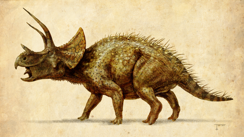 Triceratops